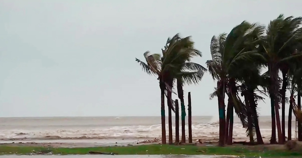 WhatsApp Image 2025-10-28 at 20.01.05