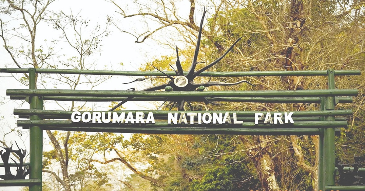 WhatsApp Image 2025-10-30 at 10.29.45 PM