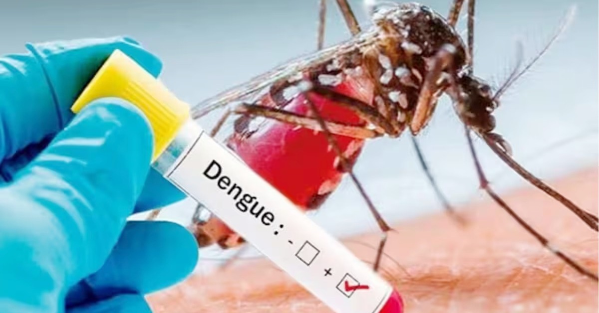 WhatsApp Image 2025-10-31 at 17.27.06