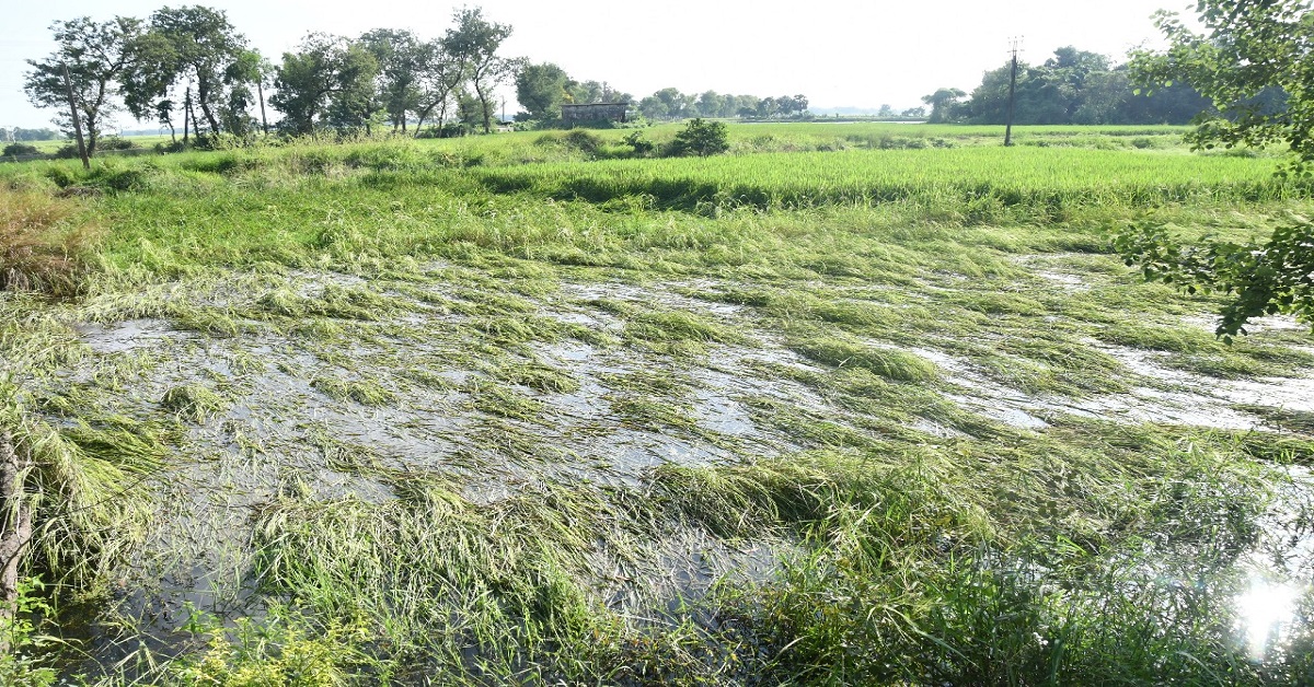 WhatsApp Image 2025-10-31 at 10.01.27 PM